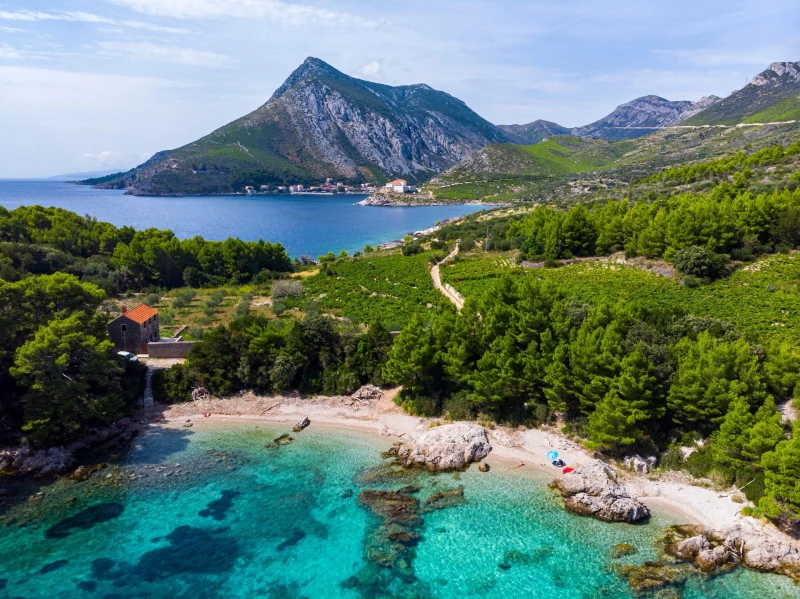 Privatni transfer Pelješac degustacija vina i Ston
