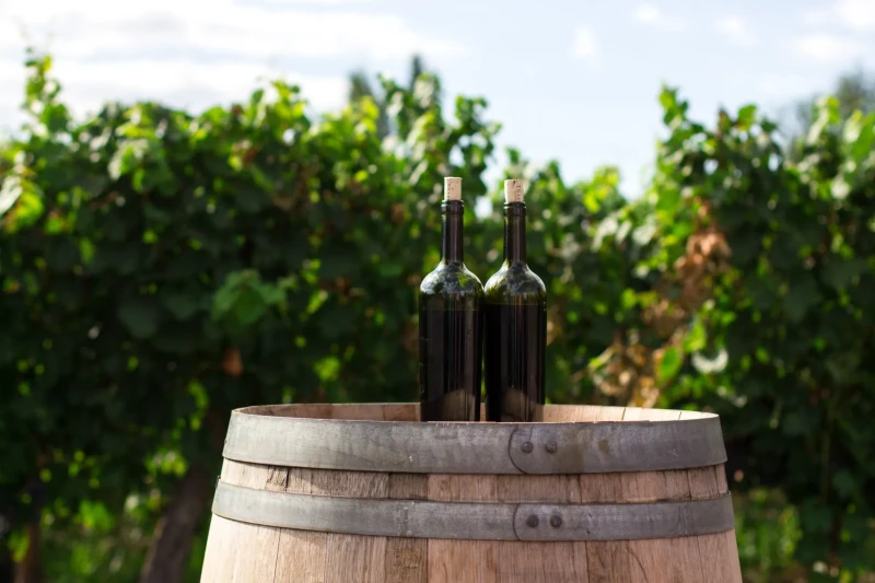 Privatna tura Dubrovnikom Povijesni razgled i degustacija vina