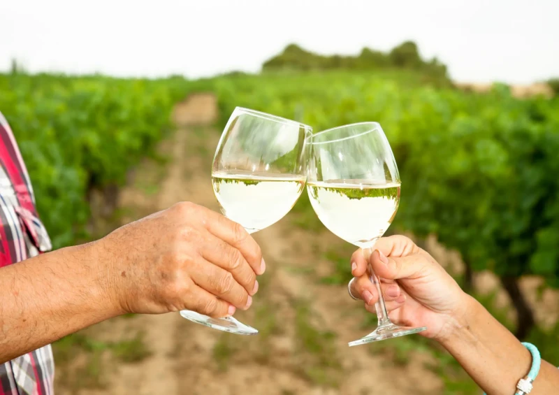 Dubrovnik Private Tour Historical Walk and Wine Tasting