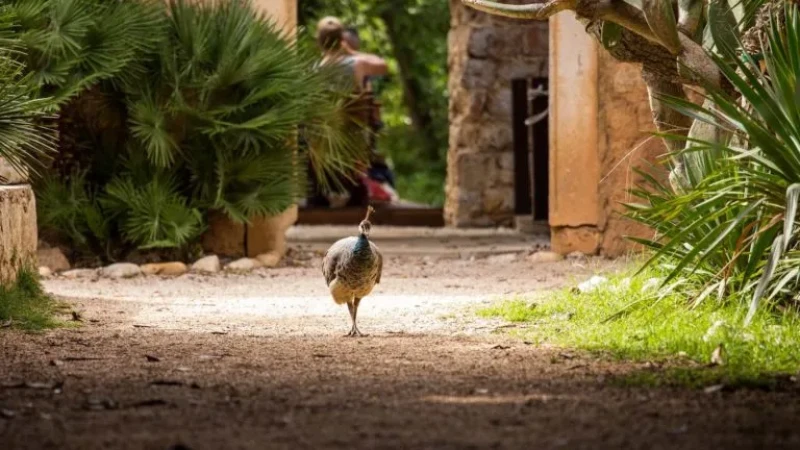 Dubrovnik privatni obilazak za savršen bijeg 