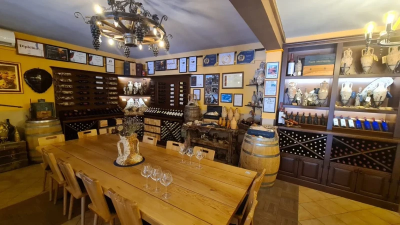Pelješac i Ston degustacija vina & kamenica