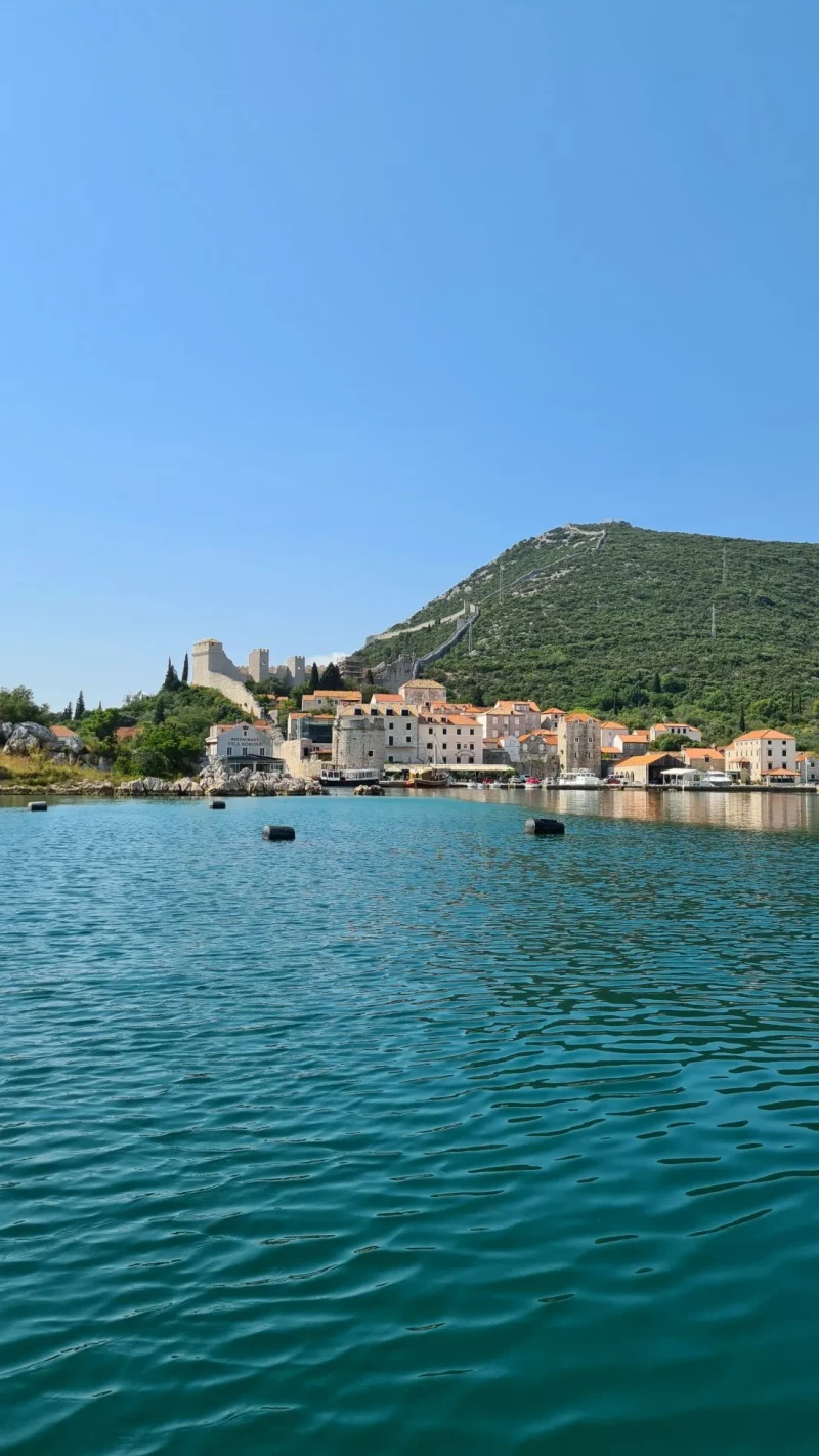 Pelješac i Ston degustacija vina & kamenica