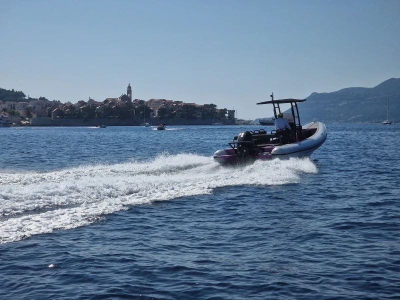 Southern Exposure Snorkeling Tour Experience