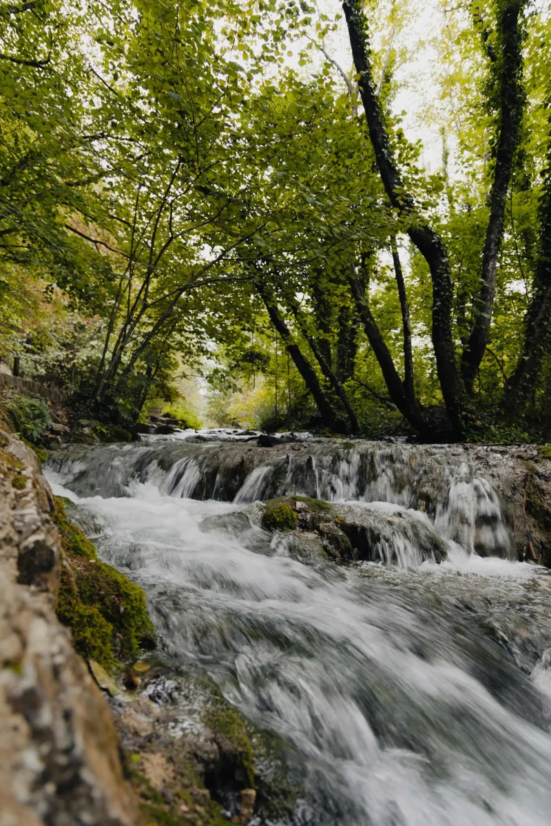 From Šibenik / Murter to Plitvice Lakes and Nikola Tesla Memorial centre - Private day tour